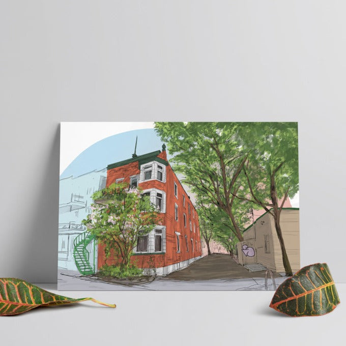 Illustration postale - Où est le chat?