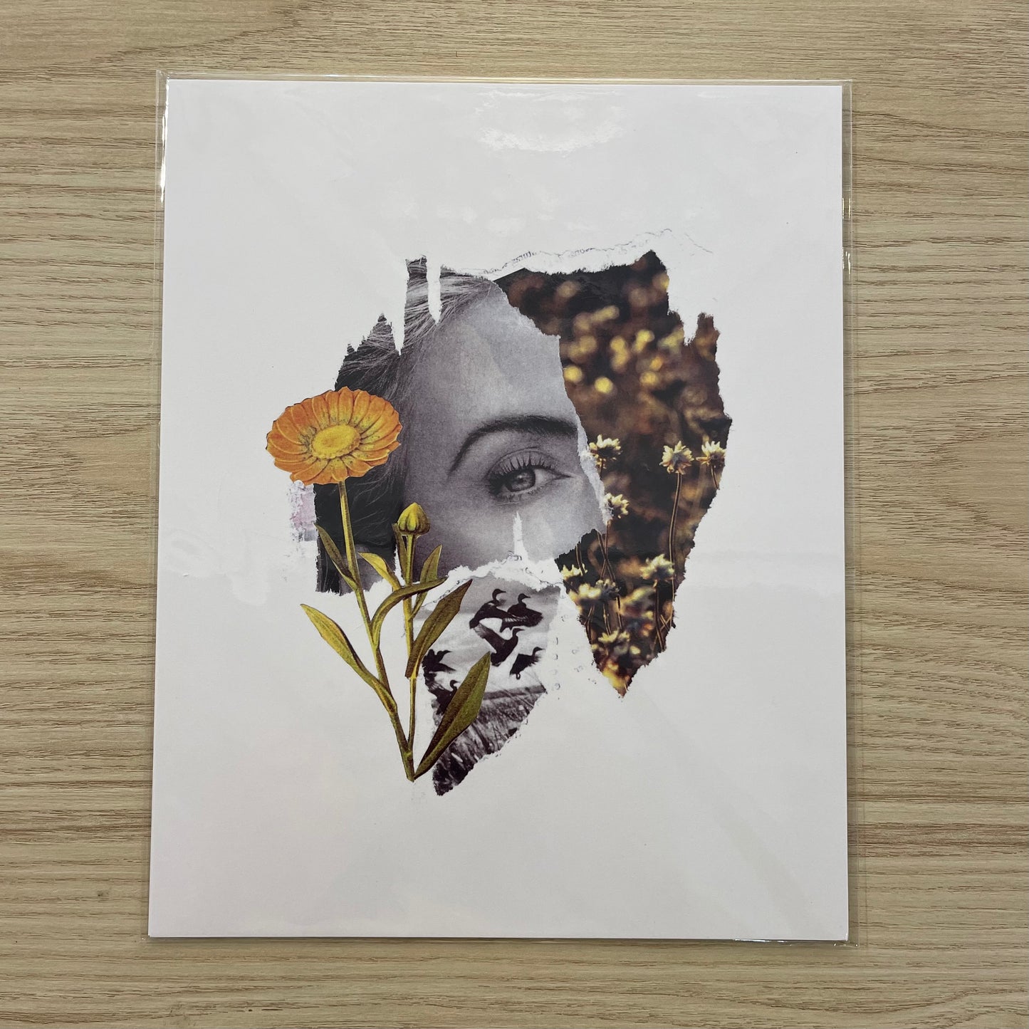 Illustration décorative - Le spectacle de la nature