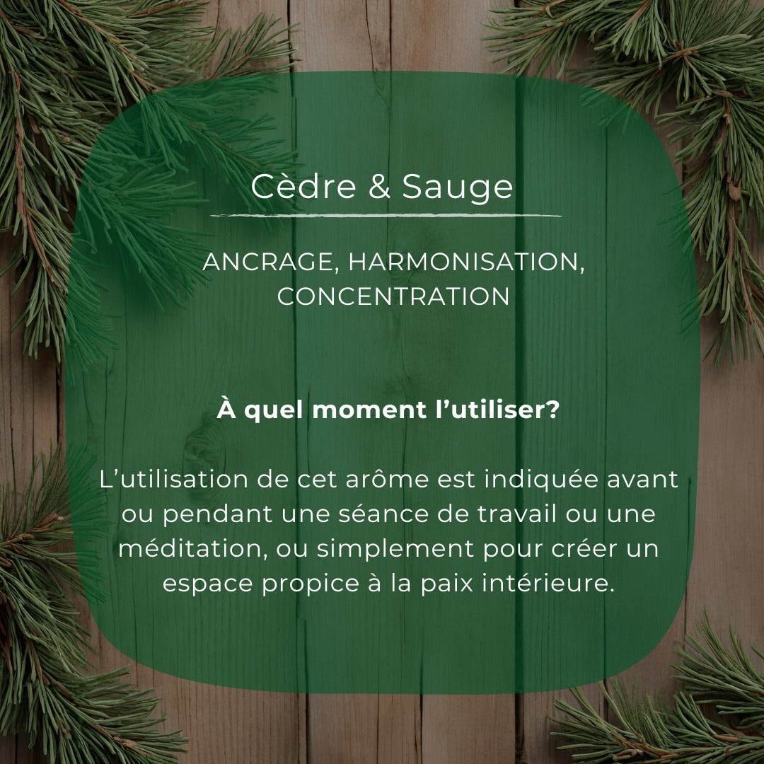 Gel nettoyant corps et mains - Cèdre et sauge | VRAC