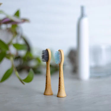 Duo de têtes pour brosse à dents électrique Philips Sonicare