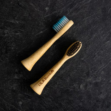 Duo de têtes pour brosse à dents électrique Philips Sonicare