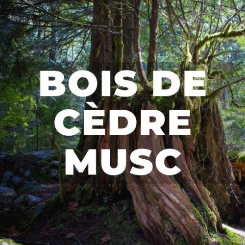Déodorant naturel - Bois de cèdre et musc