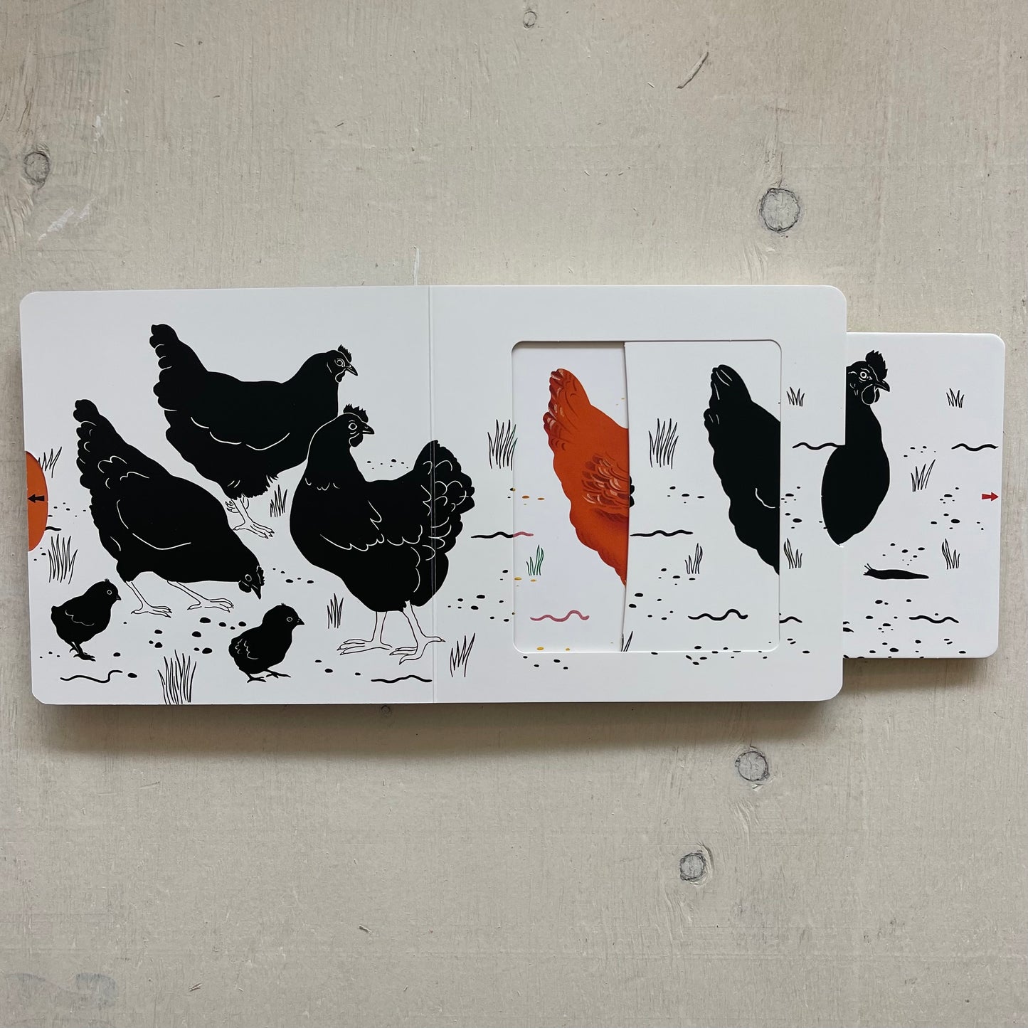 Couleurs, par Nathan