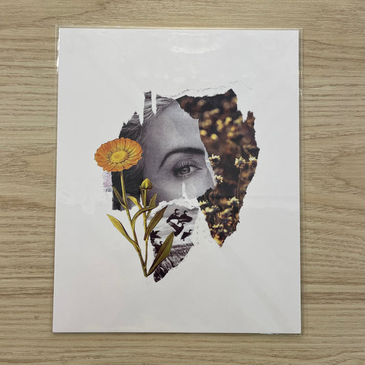 Illustration décorative - Le spectacle de la nature