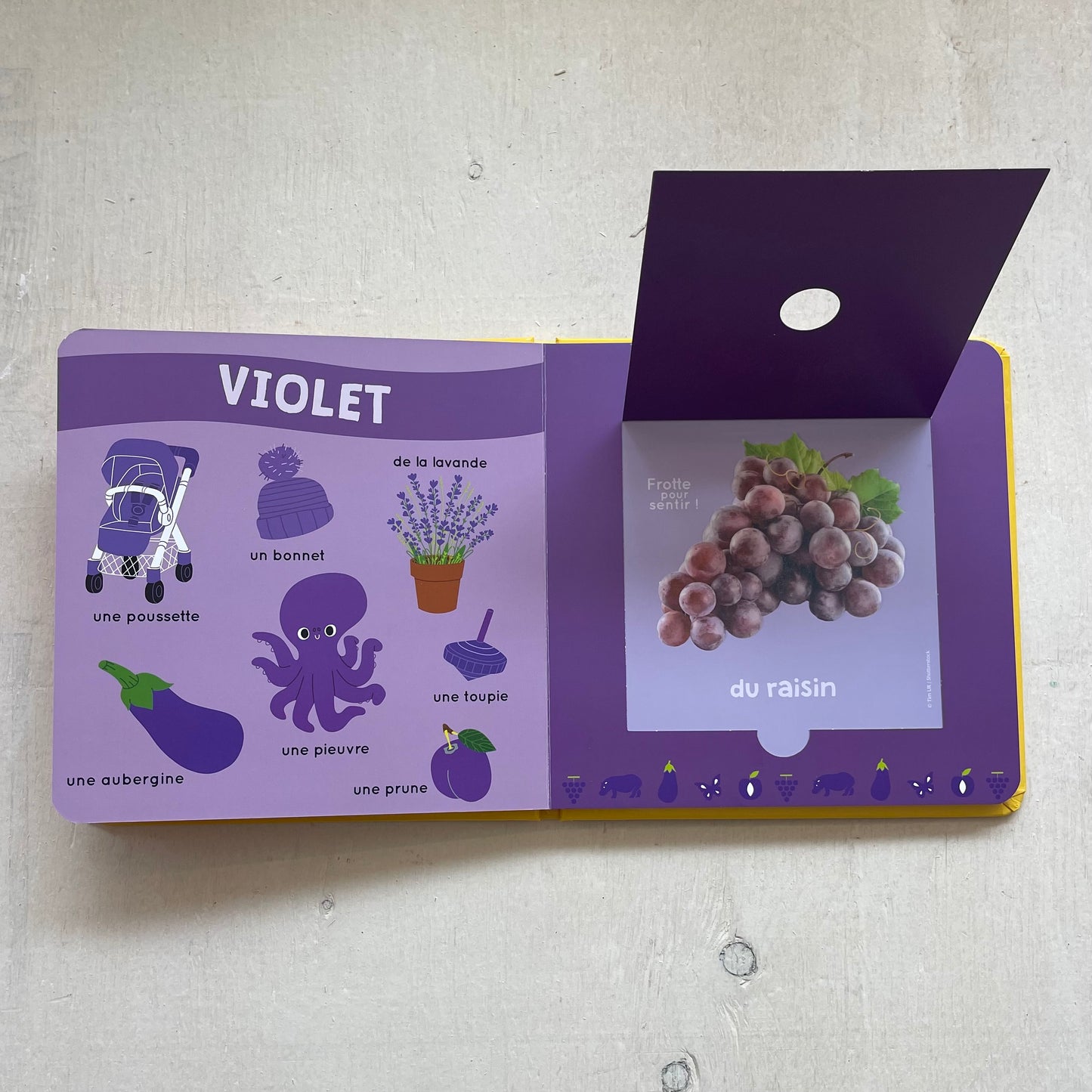 Mon livre des odeurs et des couleurs, par Auzou Éveil