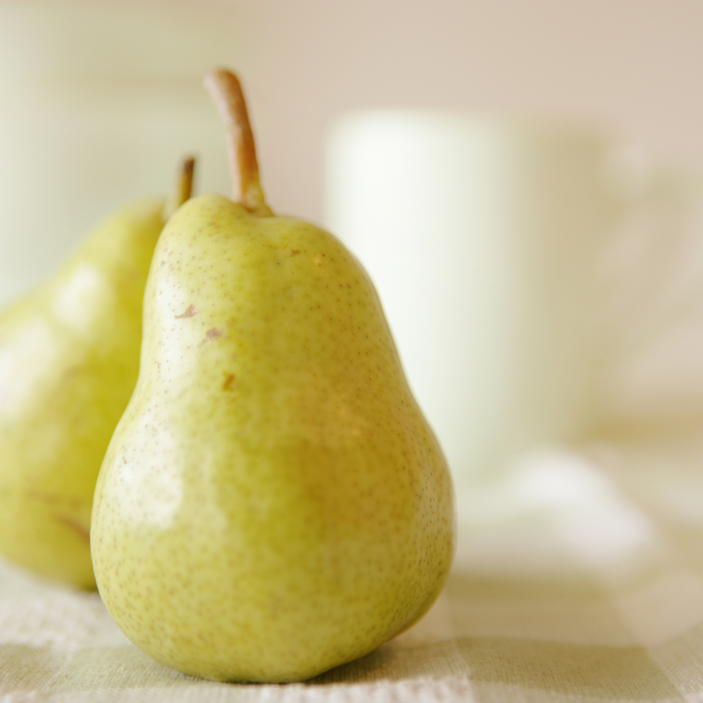 Savon à mains - Poire, musc et concombre | VRAC