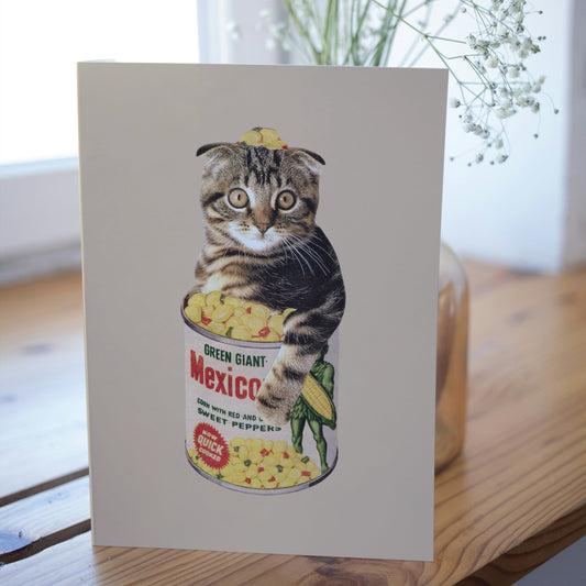 Carte de souhaits - Mexicat