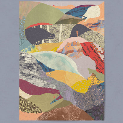 Illustration décorative - Murènes de Banyuls