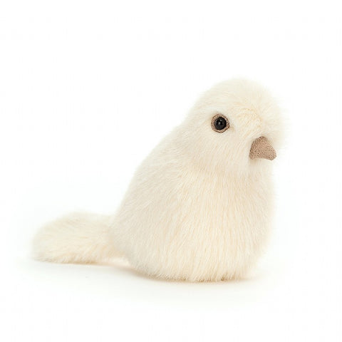 Colombe Birdling