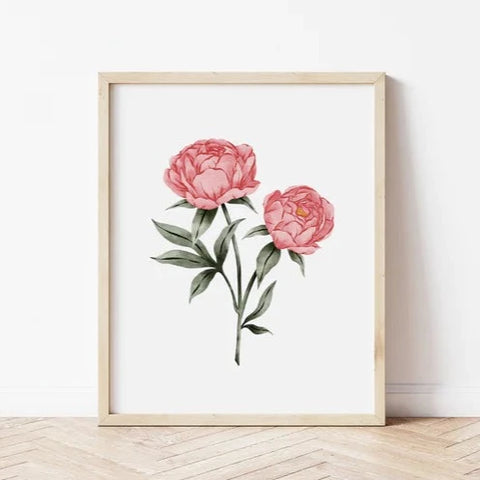 Illustration décorative - Pivoines roses