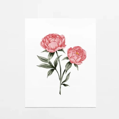 Illustration décorative - Pivoines roses