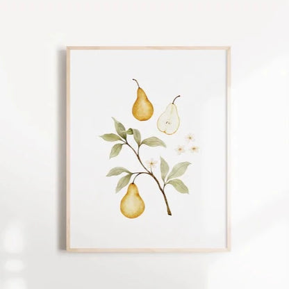 Illustration décorative - Pear Grove