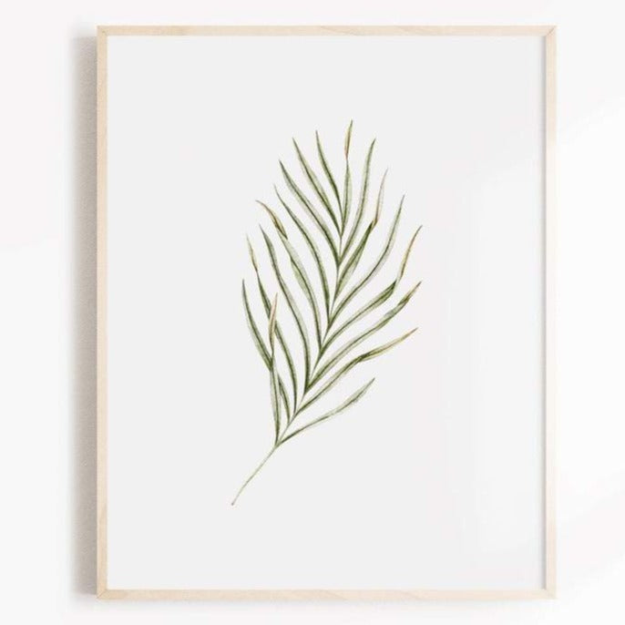 Illustration décorative - Feuille de palmier