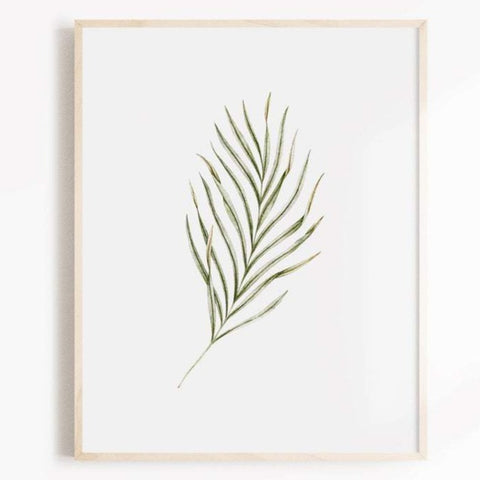 Illustration décorative - Feuille de palmier