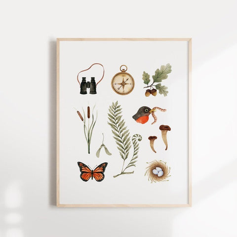 Illustration décorative - Merle et papillon de la forêt