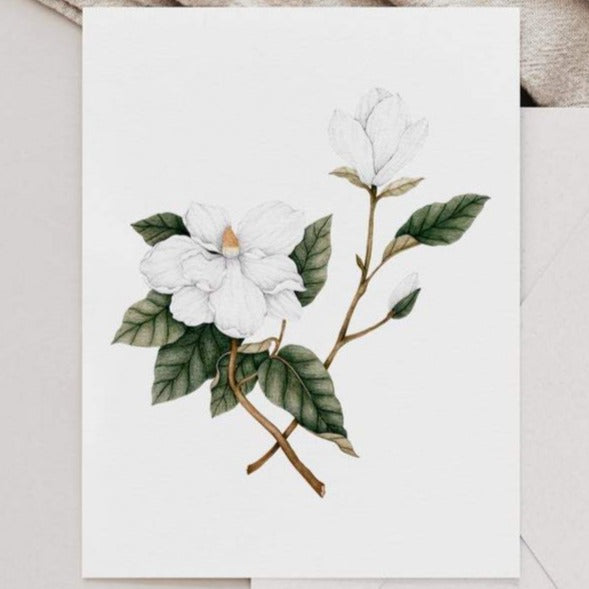 Illustration décorative - Magnolia