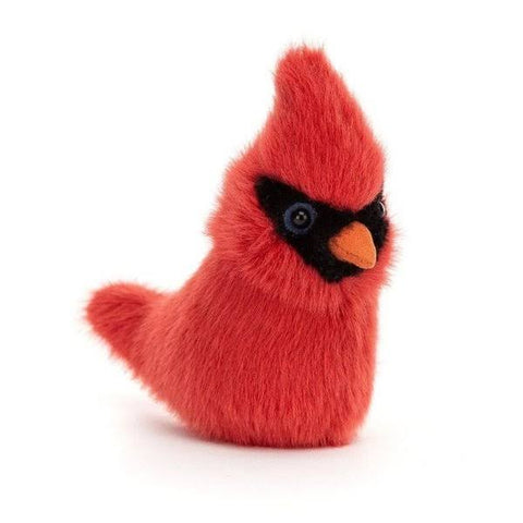 Cardinal Birdling